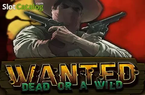 Wanted Dead or a Wild, western sheriff thema